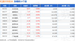虹膜识别板块12月6日涨315%汉王科技领涨主力资金