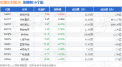 虹膜识别板块1月6日跌154%国星光电领跌主力资金