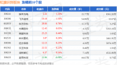 虹膜识别板块6月6日跌049%御银股份领跌主力资金