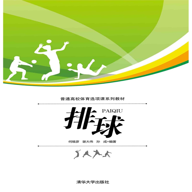 2025年中越“县超”气排球友谊赛在广西凭祥开赛
